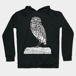 owl Hoodie